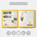 جنگل بی‌قانون - کارخانه غذاسازی